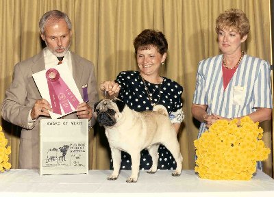 Gorby_AOM_2sm.jpg (35733 bytes)